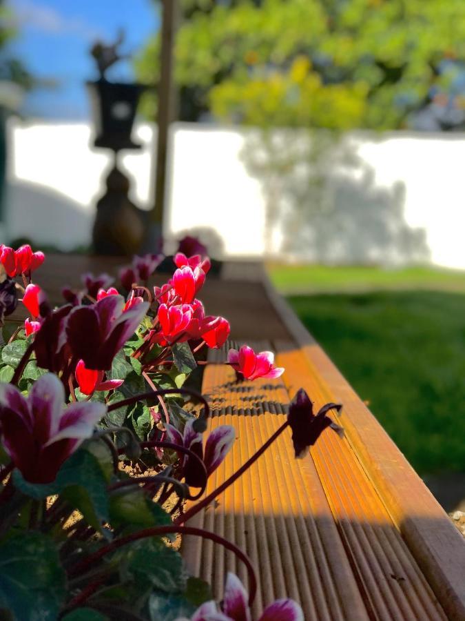 奥克兰 Onehunga Garden Tinyhouse With Parking酒店 外观 照片