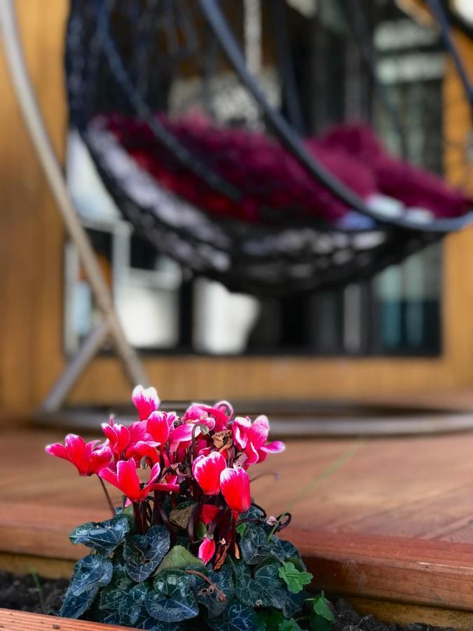 奥克兰 Onehunga Garden Tinyhouse With Parking酒店 外观 照片